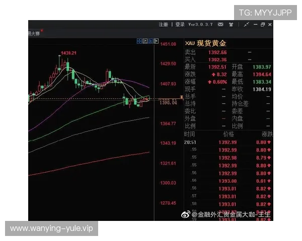 2026年世界杯B组积分榜实时更新全方位解读比赛走势